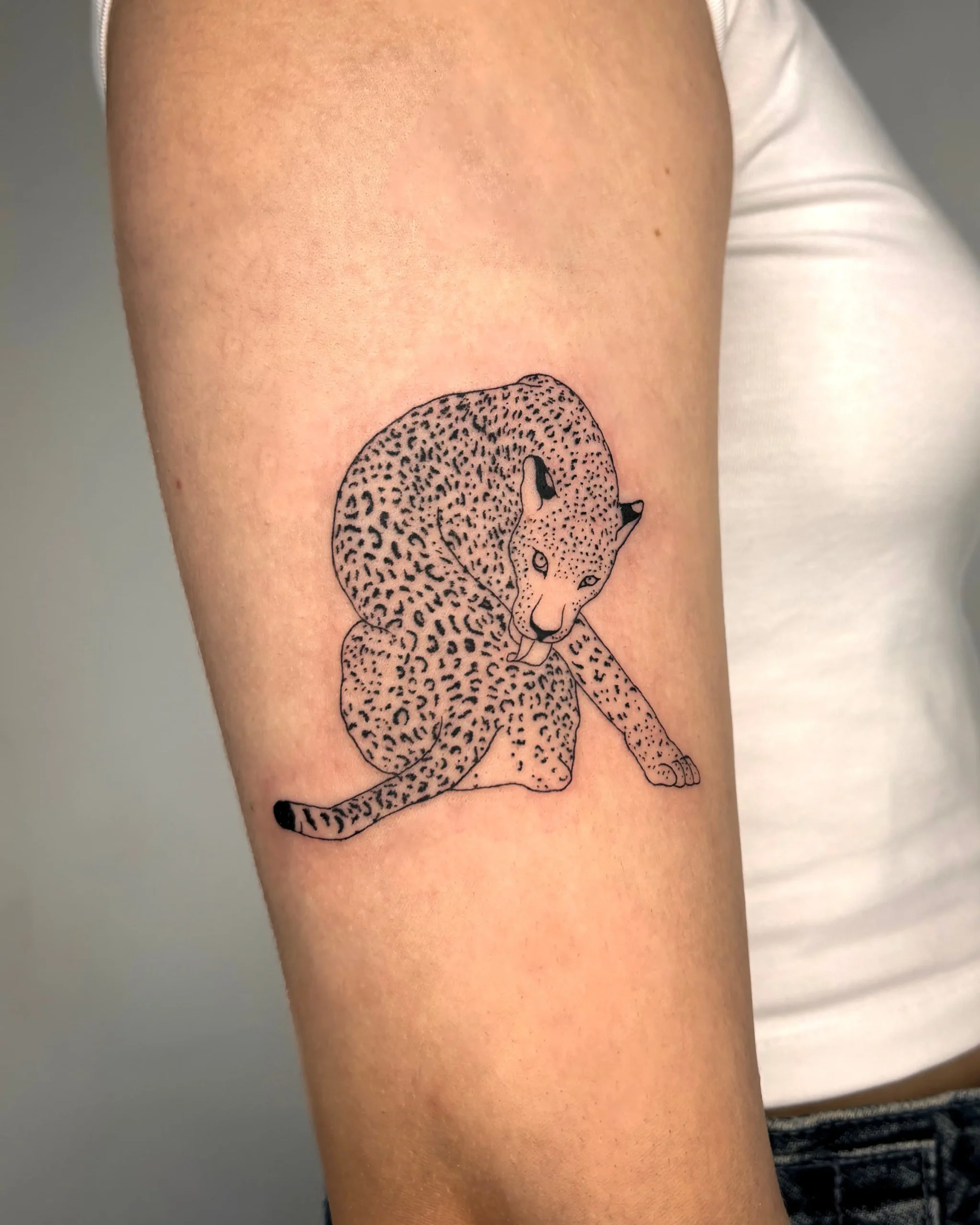 Detailed fine line leopard tattoo with intricate spot patterns and dotwork - Walk In Tattoo Budapest Detailed fine line leopard tattoo with intricate spot patterns and dotwork - Walk In Tattoo Budapest