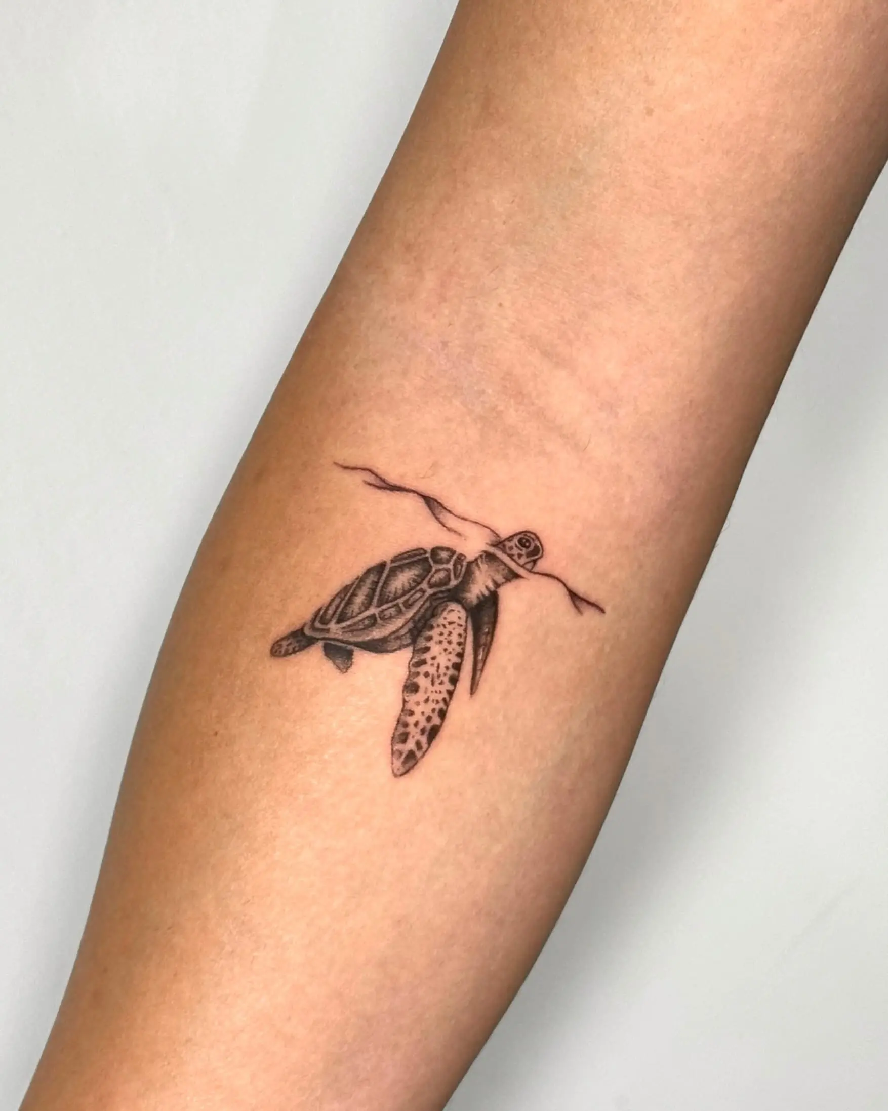 Text: Small fine line sea turtle tattoo on forearm - Walk In Tattoo Budapest Text: Small fine line sea turtle tattoo on forearm - Walk In Tattoo Budapest