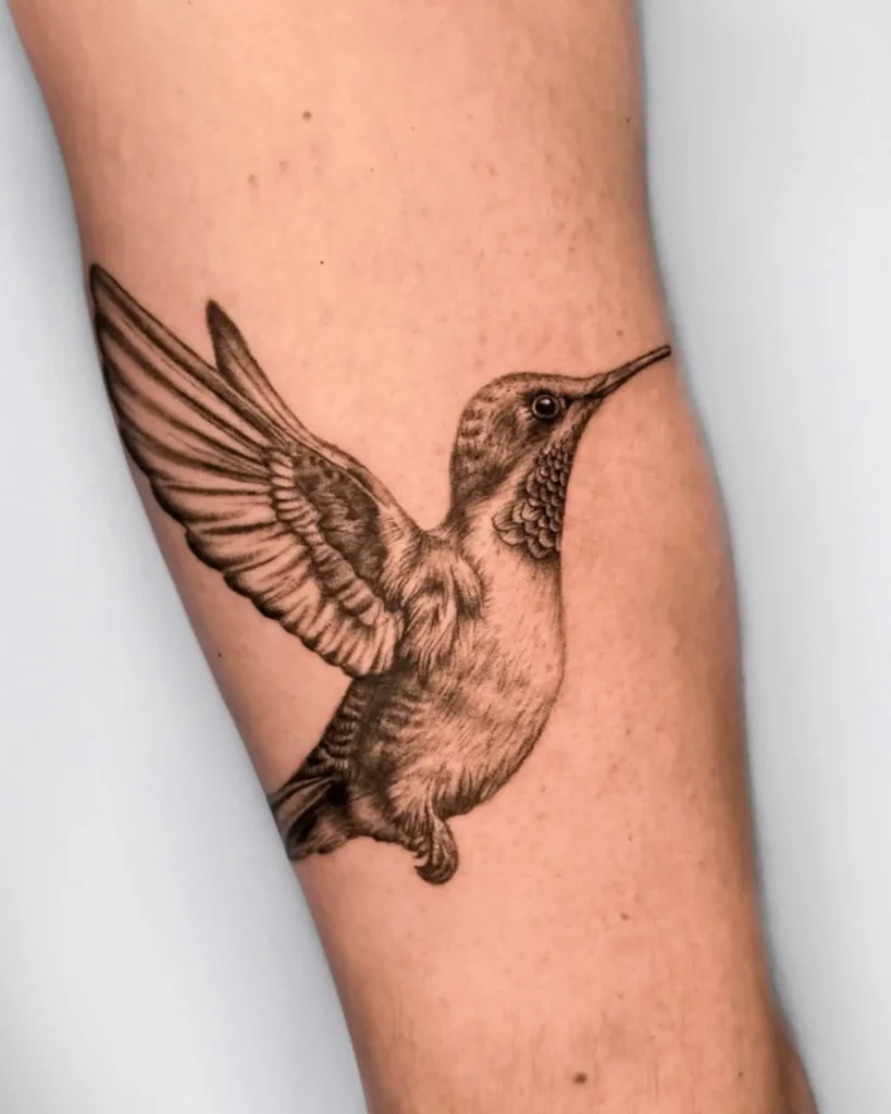 Detailed micro-realism hummingbird tattoo with soft shading - Walk In Tattoo Budapest