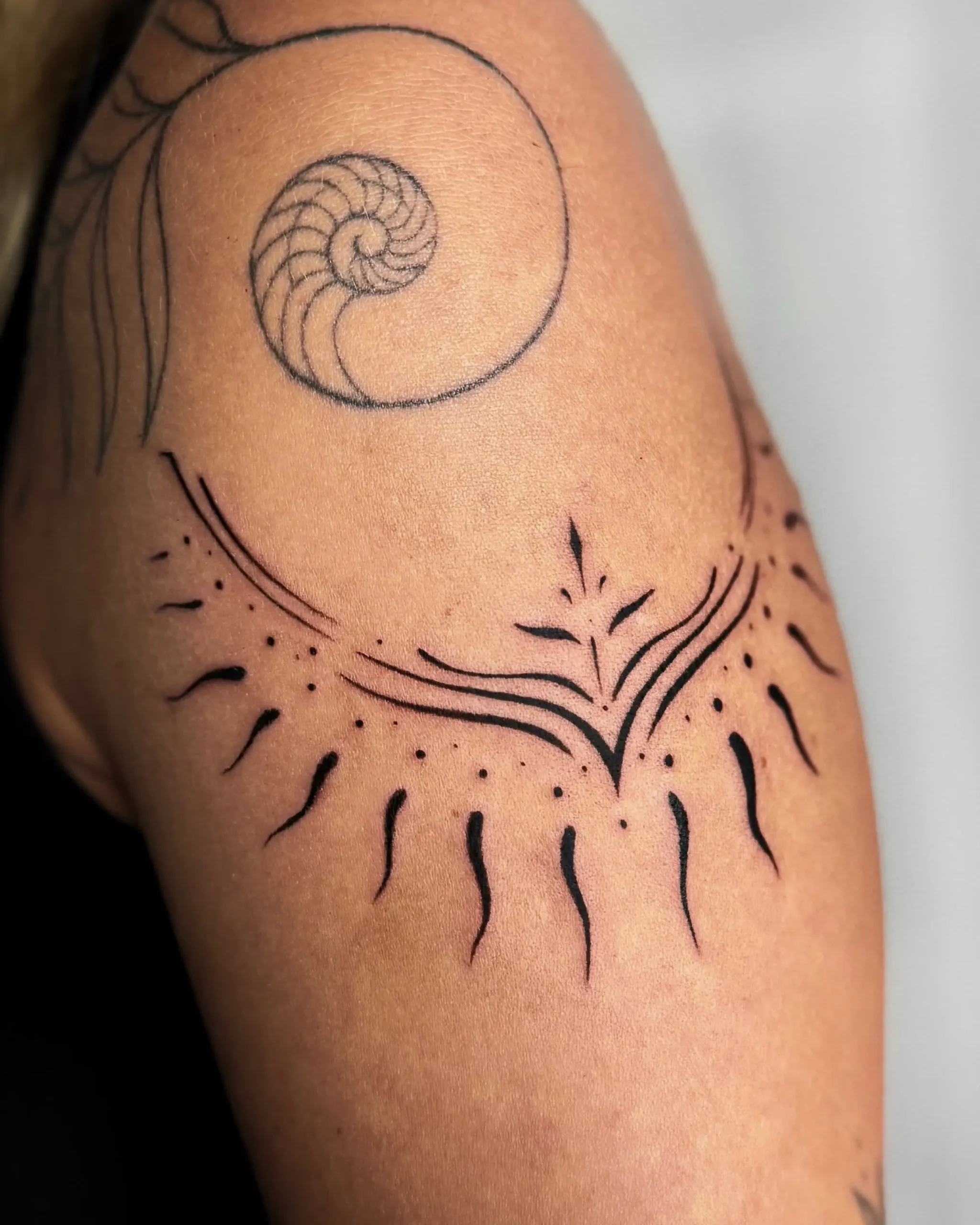 Ornamental fine line tattoo featuring a nautilus shell spiral and sun rays - Walk In Tattoo Budapest