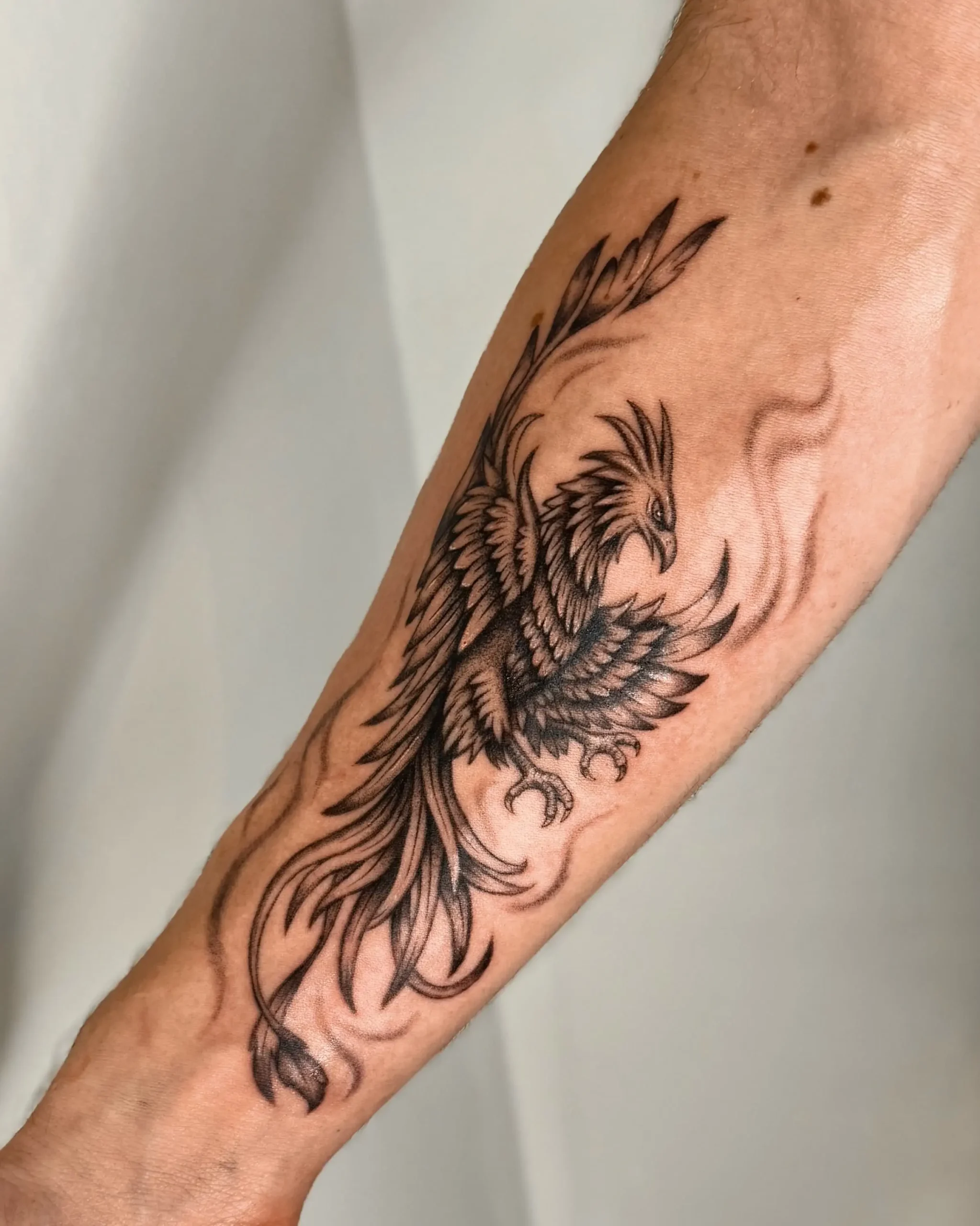 Majestic phoenix rising tattoo on forearm with detailed black and grey shading - Walk In Tattoo Budapest